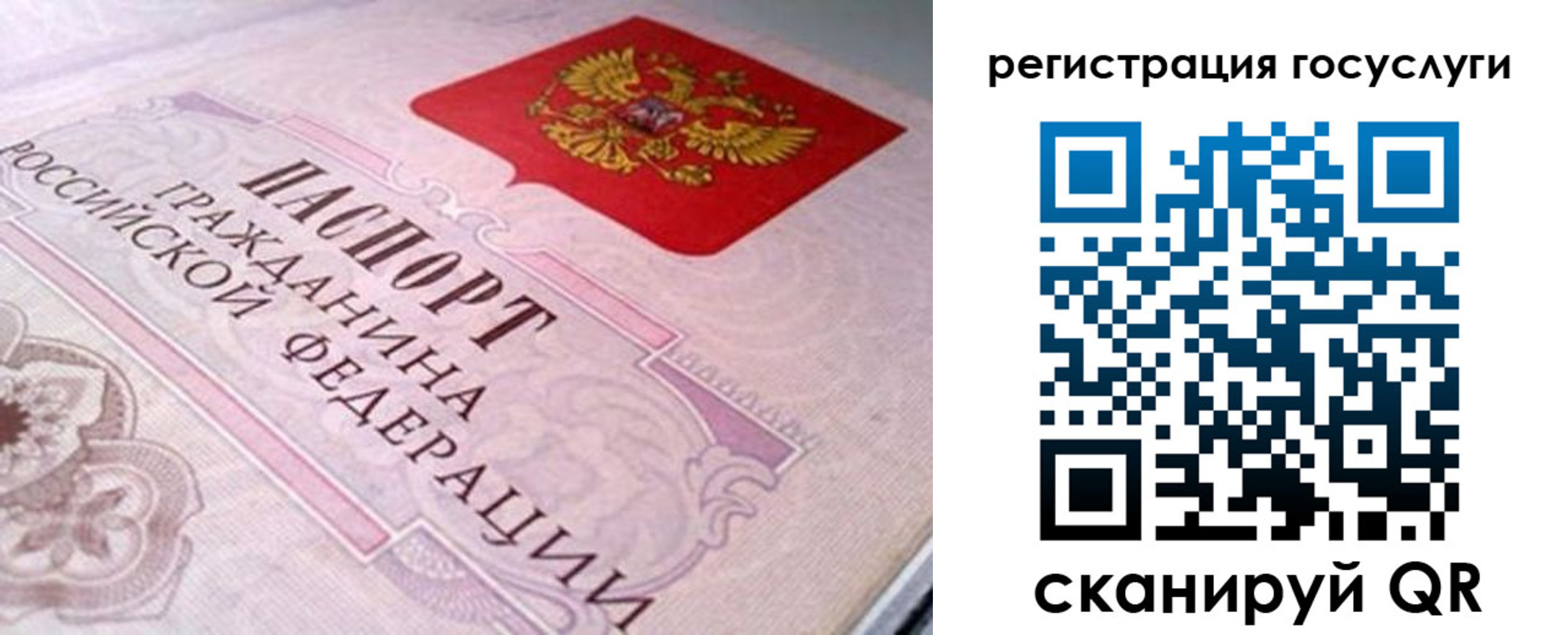 где прописаться в Калужской области